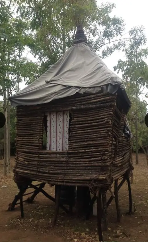 Tree House 1