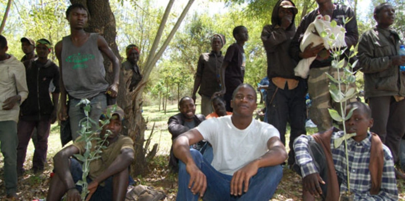 Nakuru lawyer quits job to plant trees on Menengai Forest